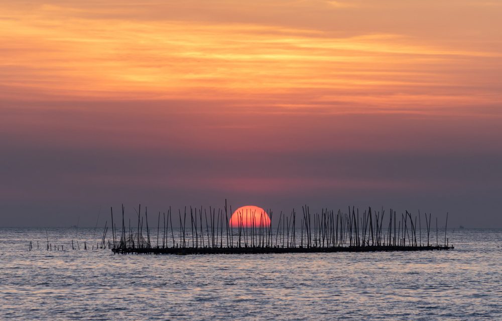 La Albufera, 10 cosas que ver y hacer