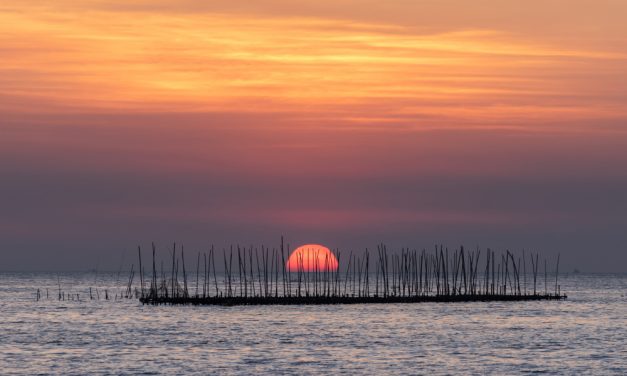 La Albufera, 10 cosas que ver y hacer