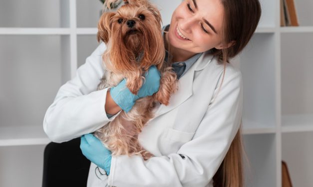 El veterinario: tu aliado en la prevención de parásitos en mascotas
