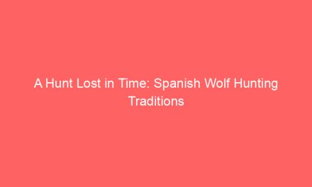 A Hunt Lost in Time: Spanish Wolf Hunting Traditions