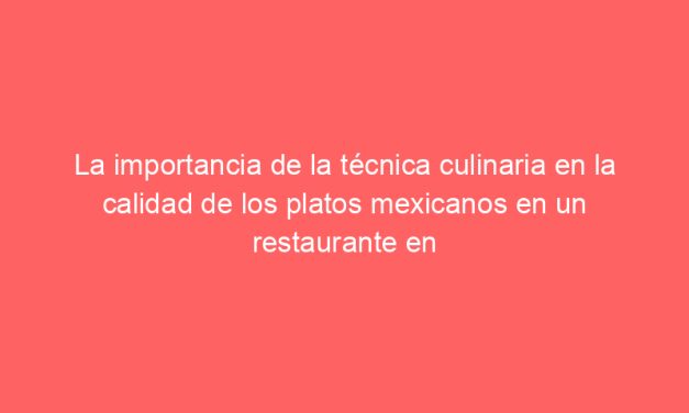 La importancia de la técnica culinaria en la calidad de los platos mexicanos en un restaurante en España: Un análisis detallado