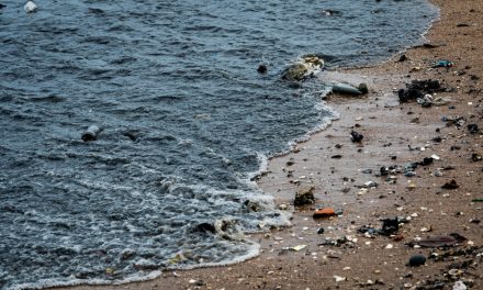 El impacto devastador de la contaminación del agua: desafíos y soluciones