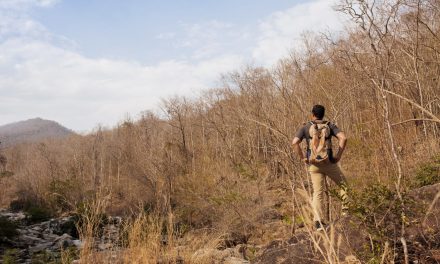 Guía para Planificar una Jornada de Caza Exitosa en España